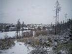 Borovina