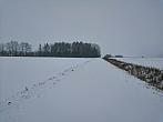 Císařov