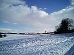 Borovina