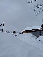 Skalité