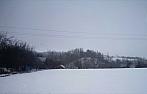Stařeč