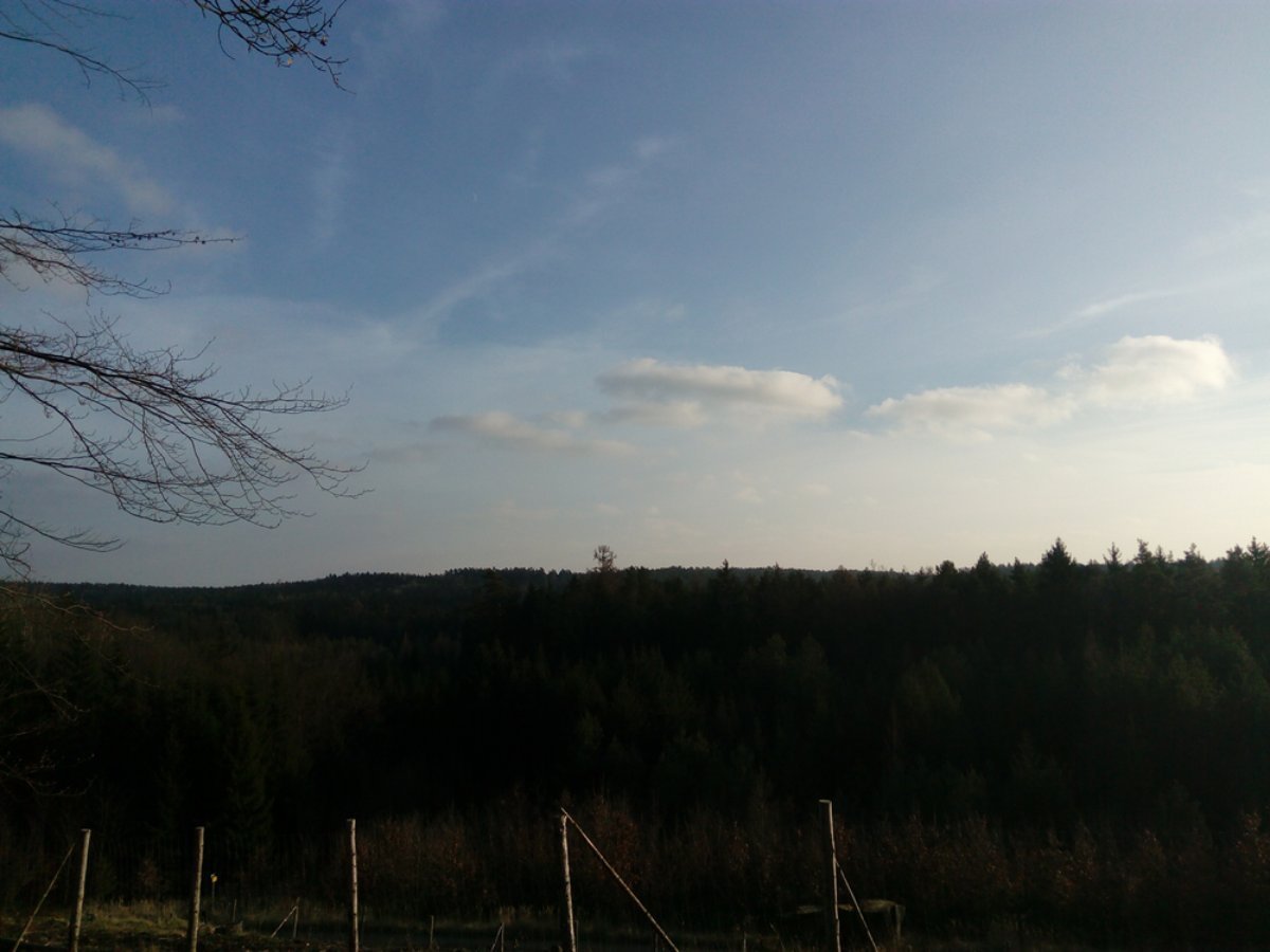Nová ves