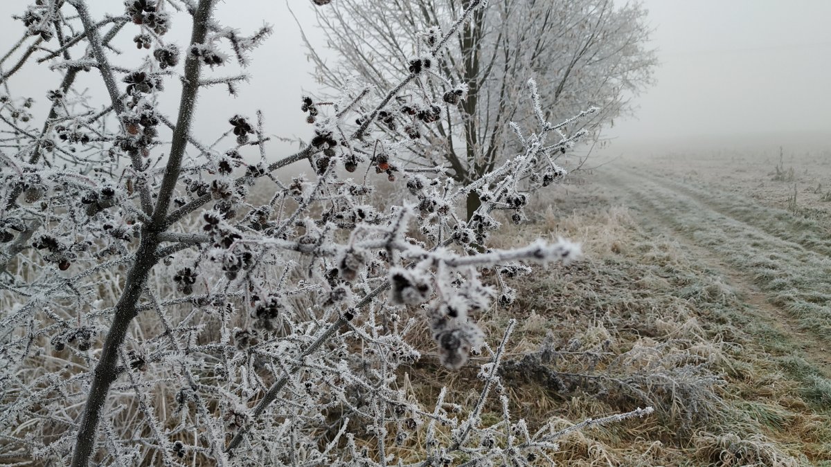 Hnojice