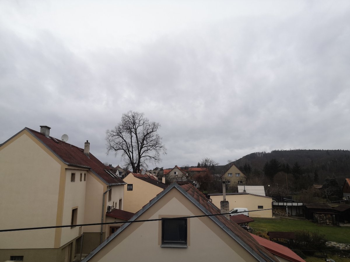 Chrustenice