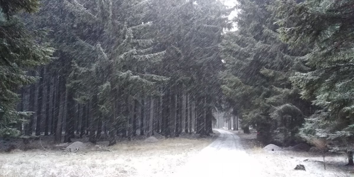 Toužim