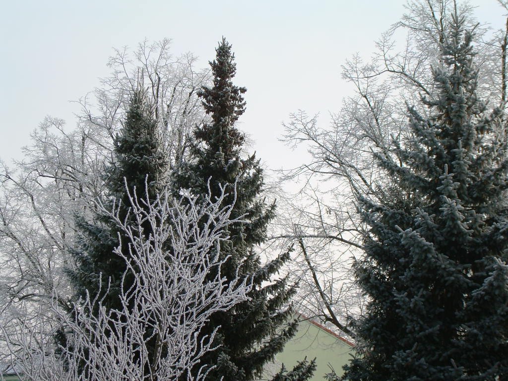 České Velenice