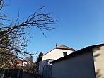 Olešná