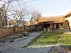 Třibřichy