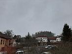 Olešná