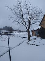 Skalité