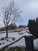 Skalité
