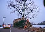 Borovina