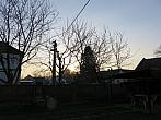 Třibřichy