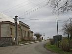 Třibřichy