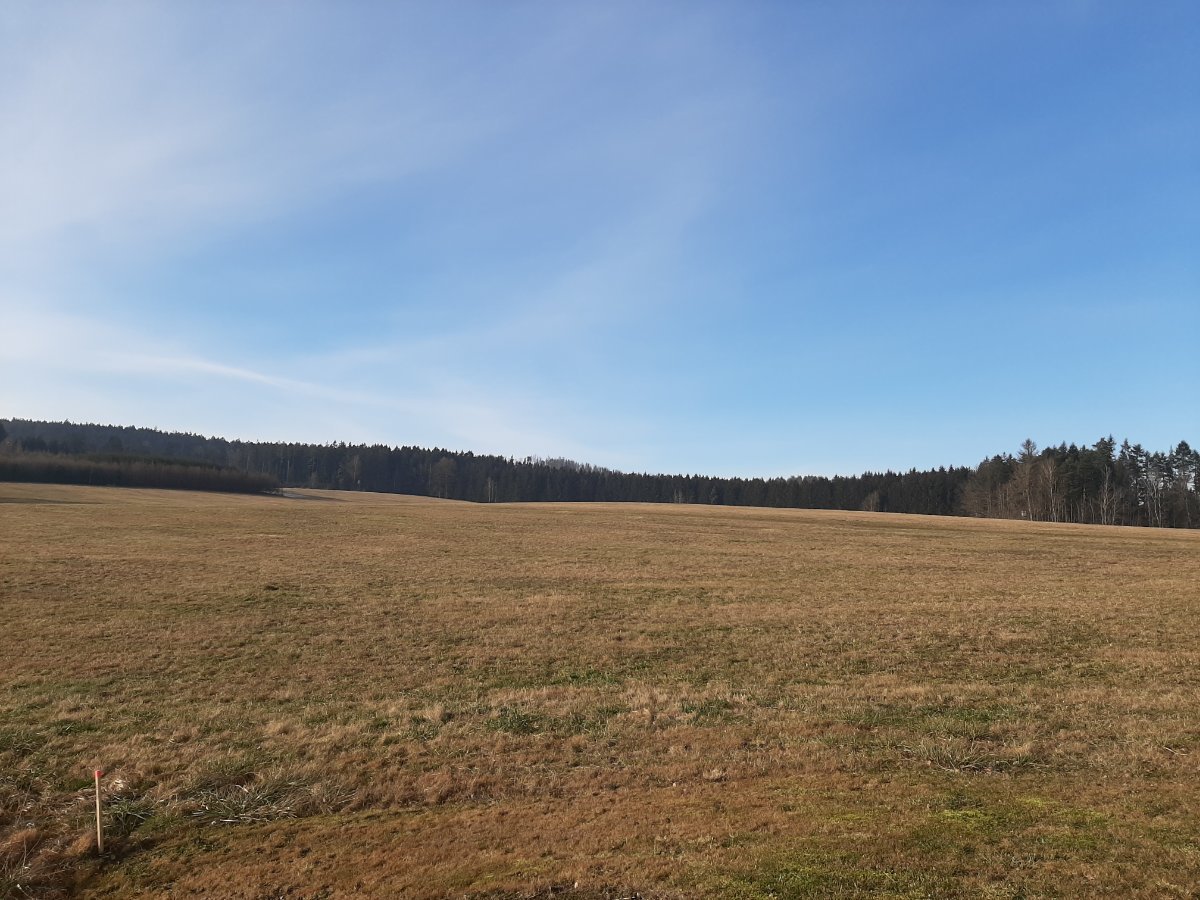 Zajíčkov