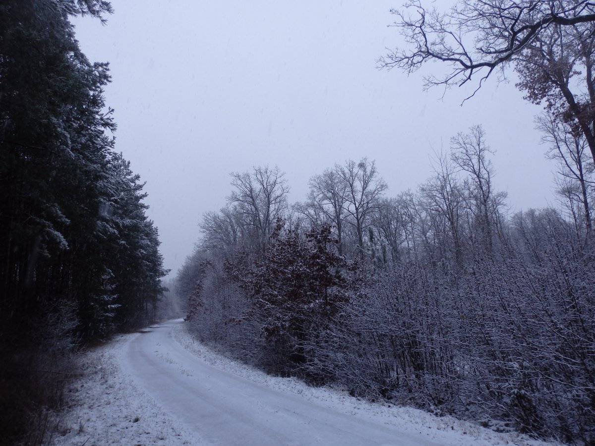 Dětenice-Brodek