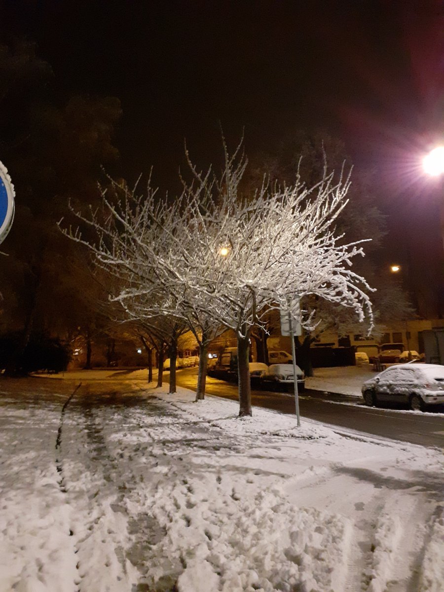 Kolín