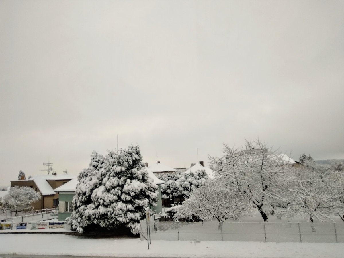 Pacov