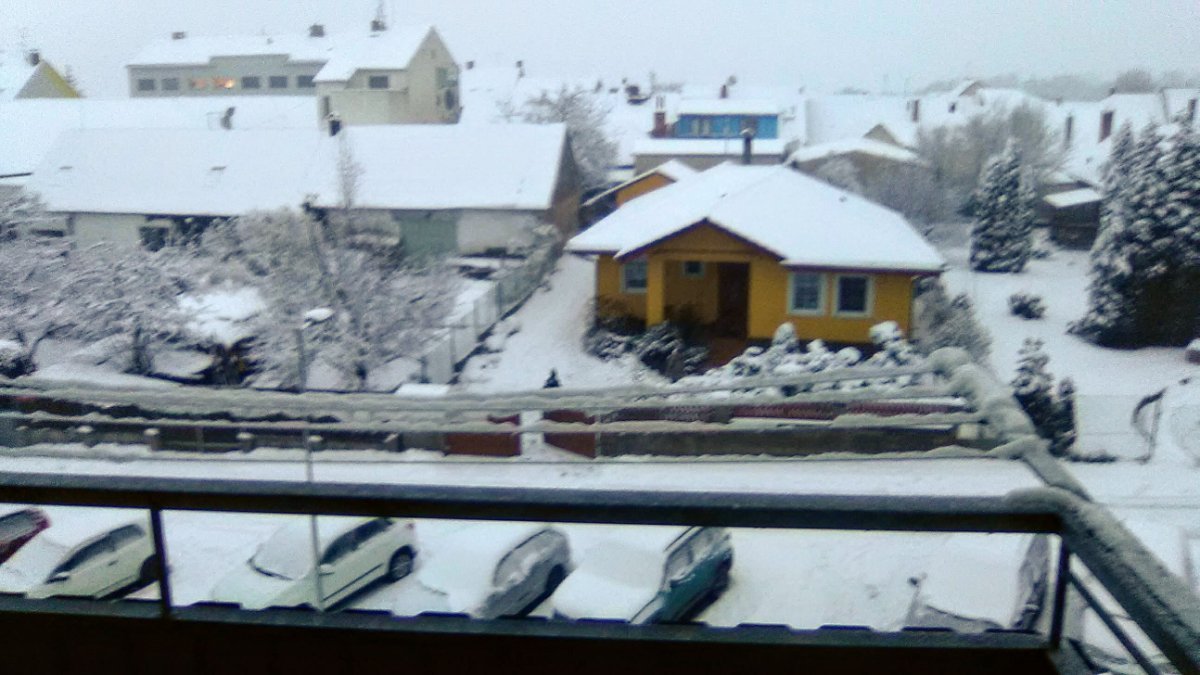 Lišov