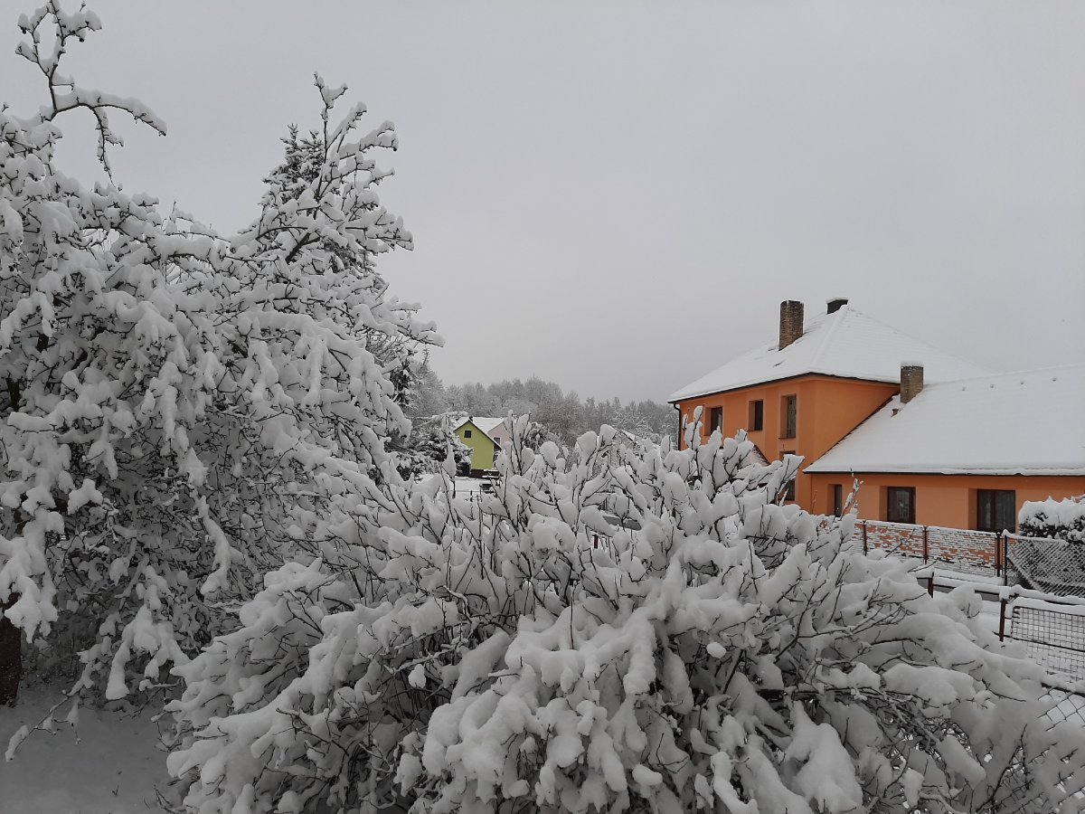 Olešná