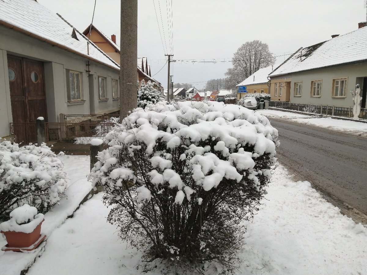 Hostákov
