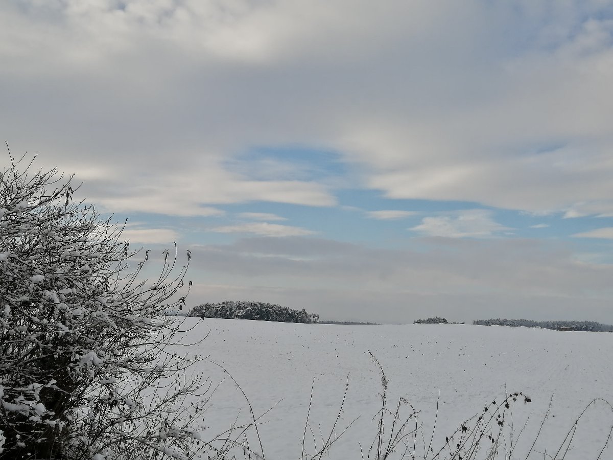 Hostákov