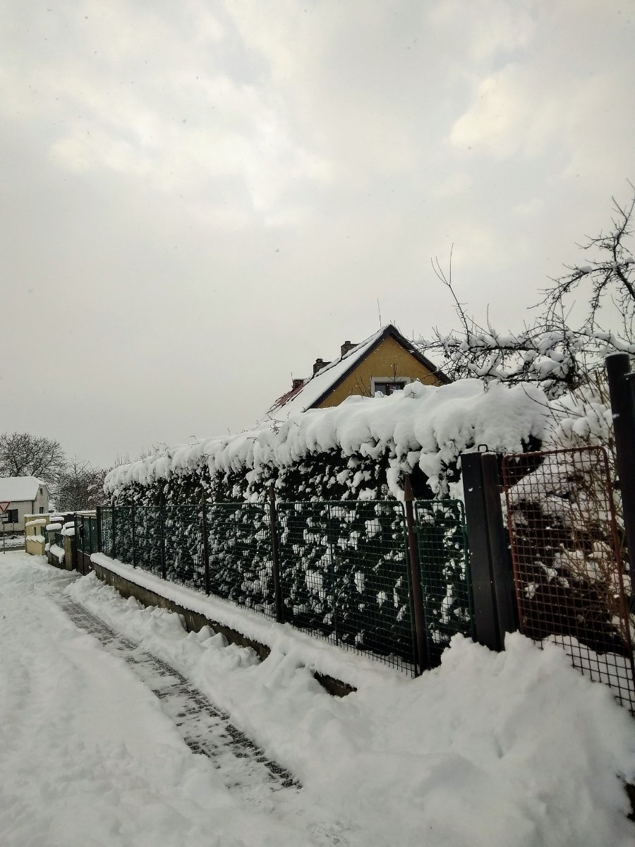 Pacov