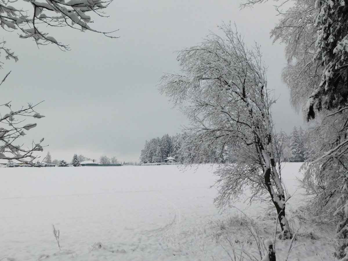 Němčice Zhoř
