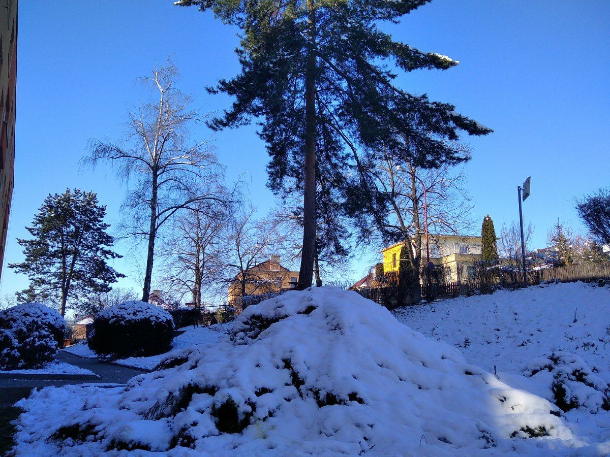 Borovina