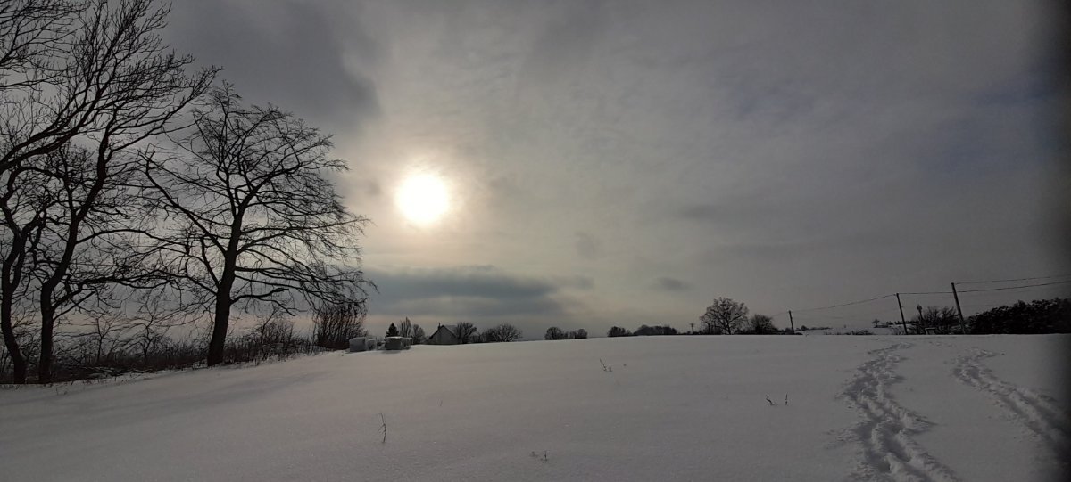 Koňákov