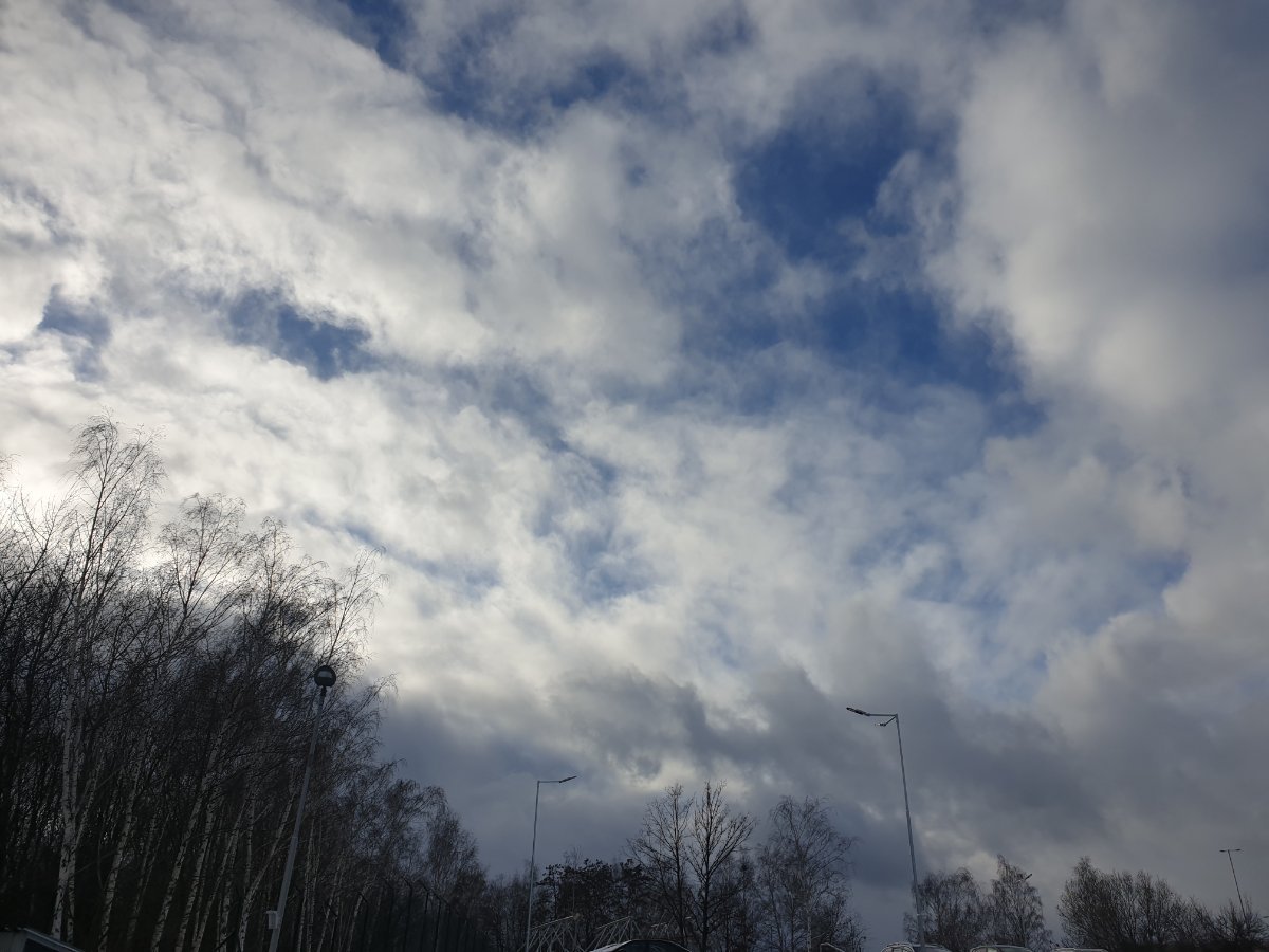 Otvice