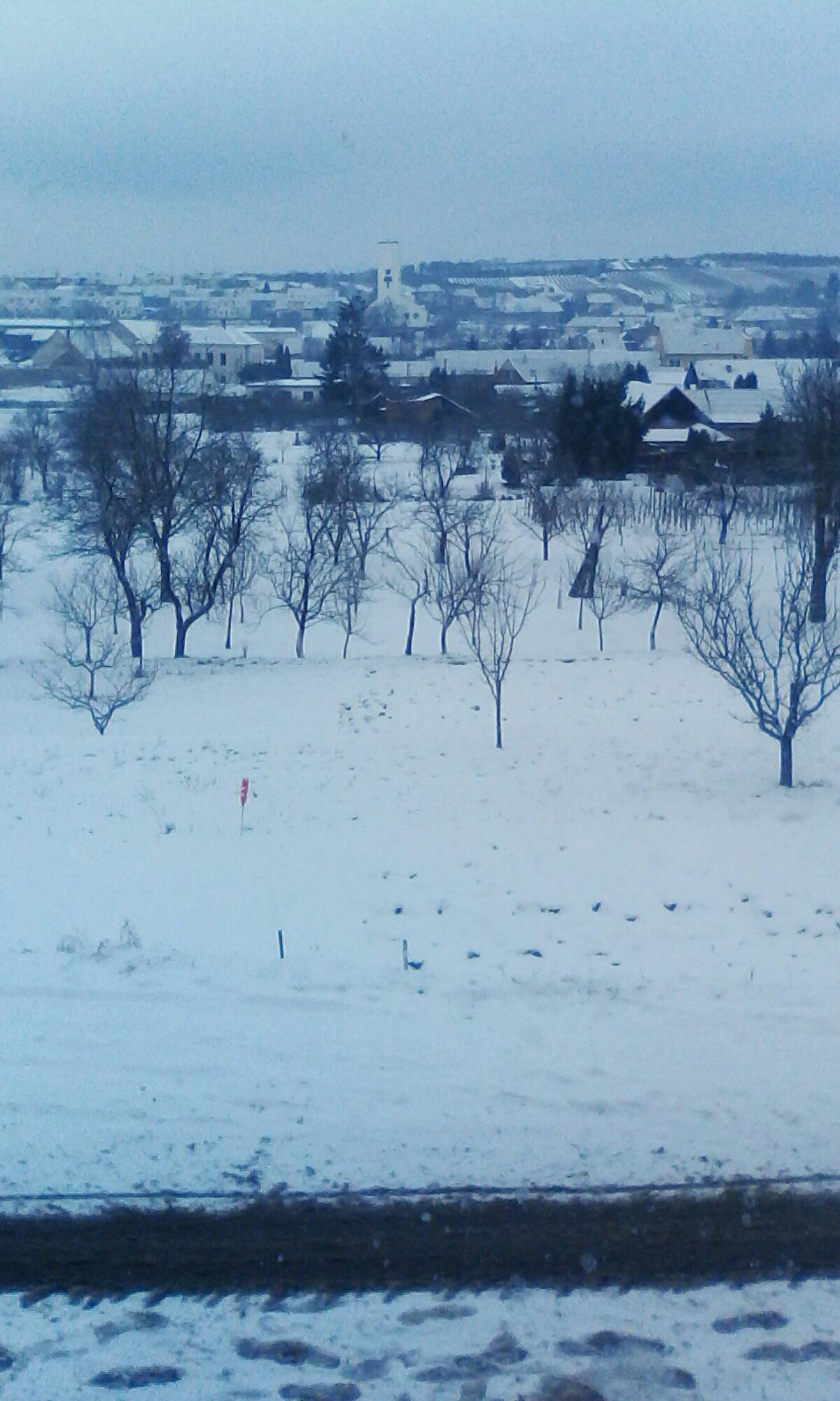 Žádovice
