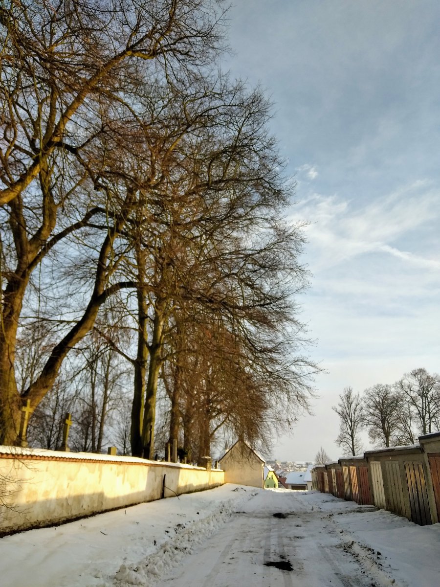 Pacov
