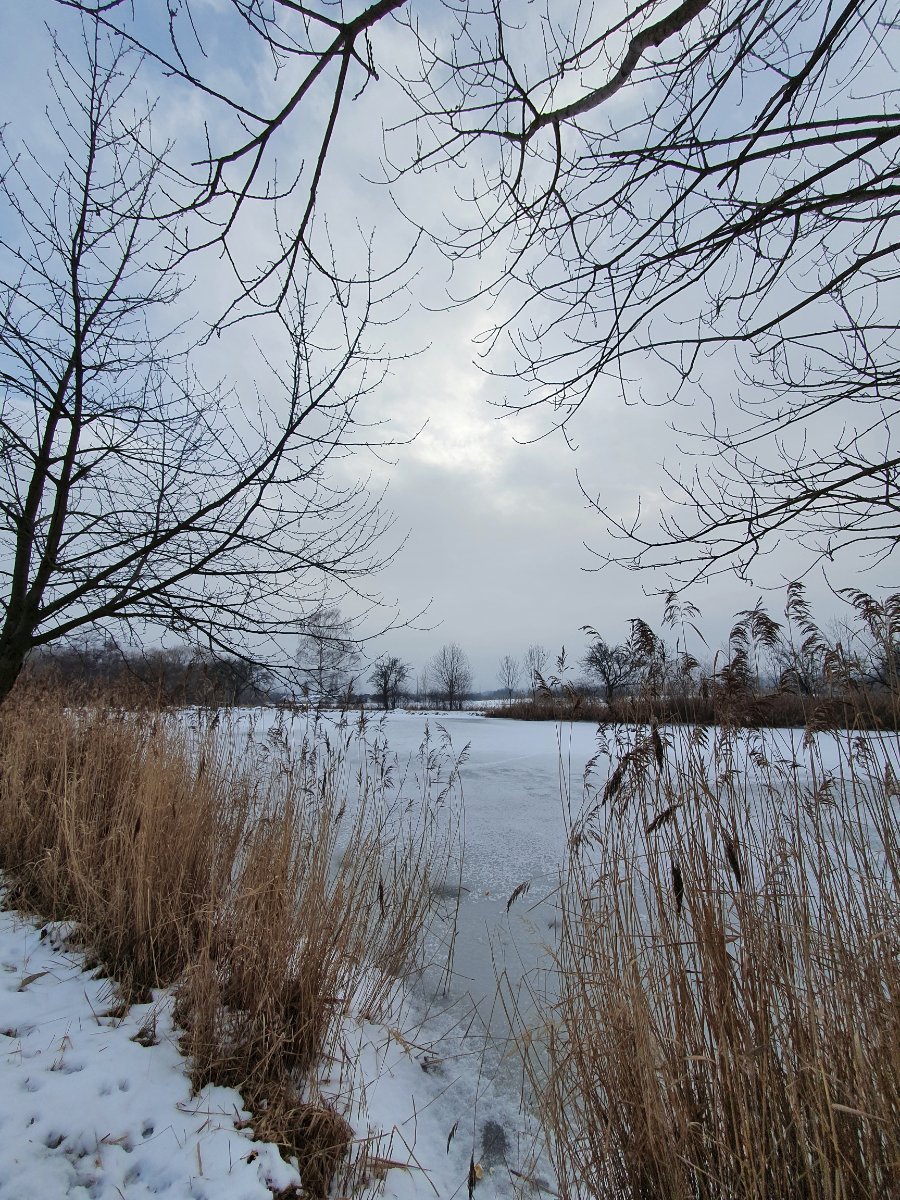 Chomutov
