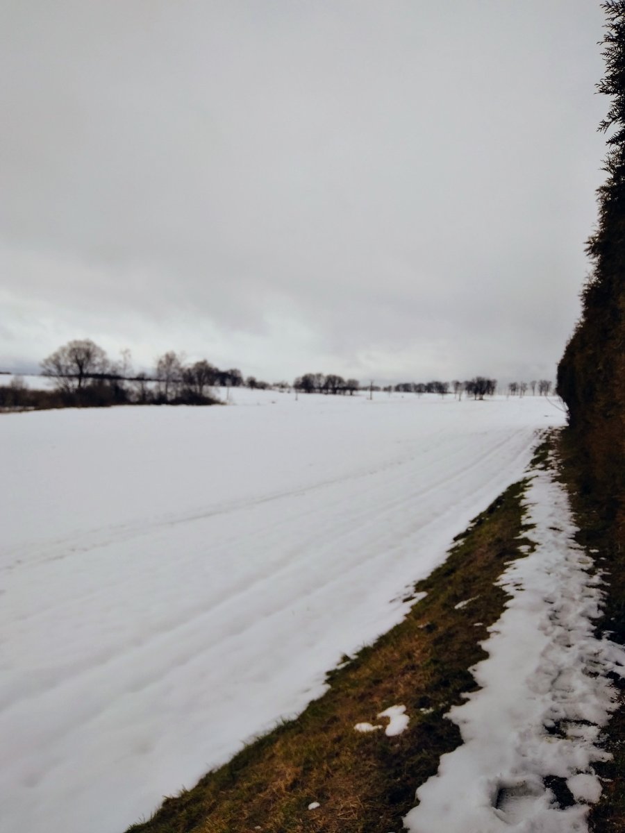 Pacov