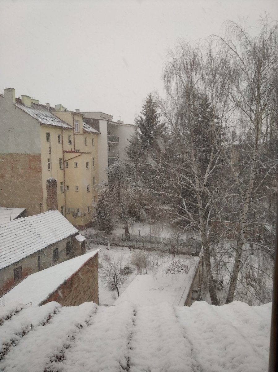 České Budějovice