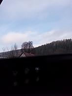 Hvozdnica