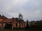 Olešná