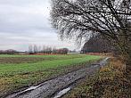 Chomutov