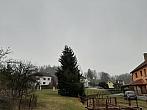 Olešná