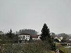 Olešná