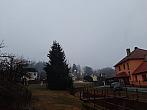 Olešná