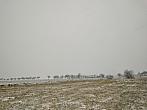 Pacov