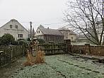 Třibřichy