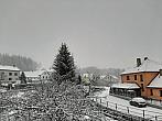 Olešná