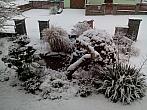 Březnice