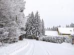 Nový Rychnov