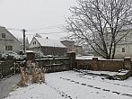 Třibřichy
