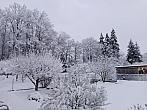 Blatná