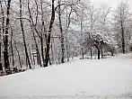 Pašovice